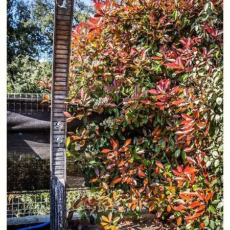 Casa vacanze 4 étoiles Sole Di Corsica