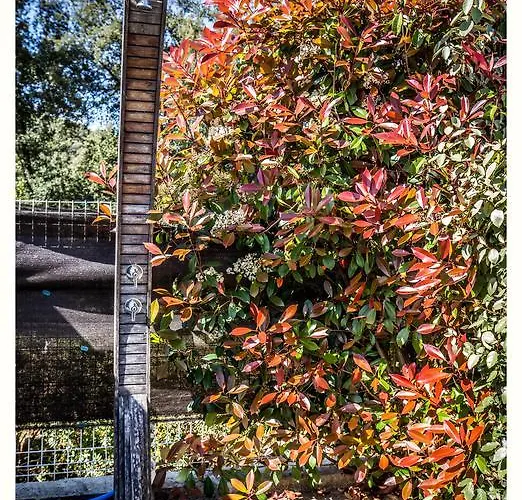 度假居 4 Etoiles Sole Di Corsica