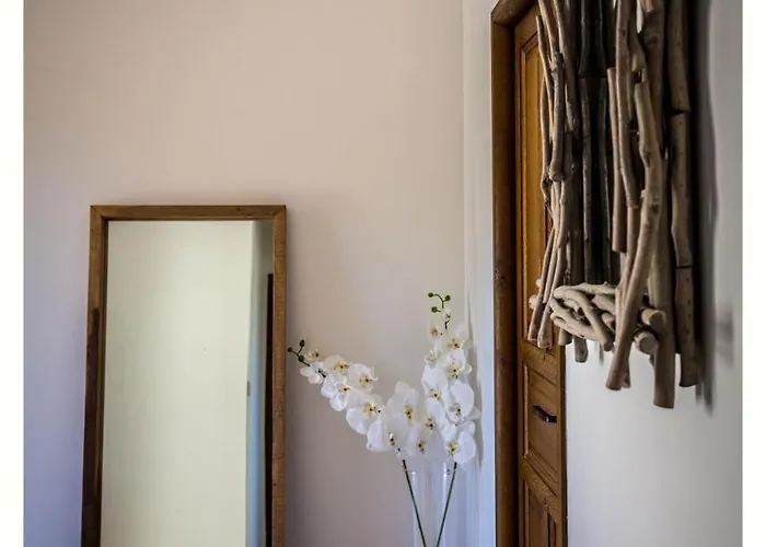 4 Etoiles Sole Di Corsica